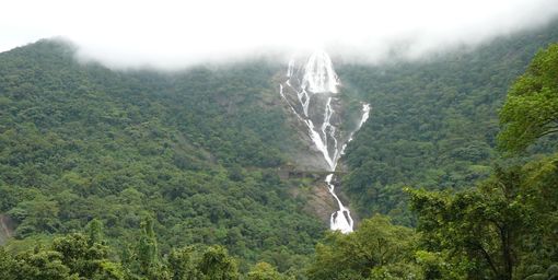 Vodopdy Ddhsagar